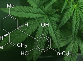 EL CBD TAMBIÉN SE EXPANDE A TRAVÉS DEL MODELO DE FRANQUICIA