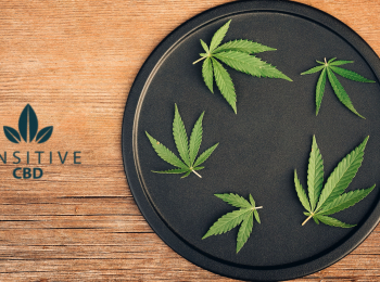 SENSITIVE CBD Y CONSULTA FRANQUICIAS ESTÁN DE CELEBRACIÓN