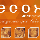 Eco4D – 5D