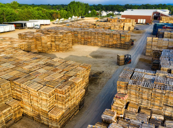 OCTOPUS TRADING Y LOGISTICS